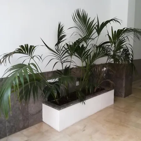 Centro Basement 3*