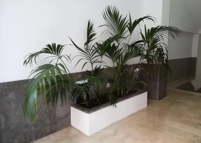 Centro Citta Basement 3*